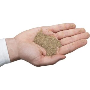 AGENTE JATEAMENTO NOZES | 10 LITROS | 800 µM | VIGOR - Image 3