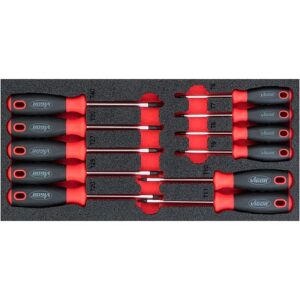 CONJUNTO DE CHAVES P PARAFUSOS T T6-T40 VIGOR