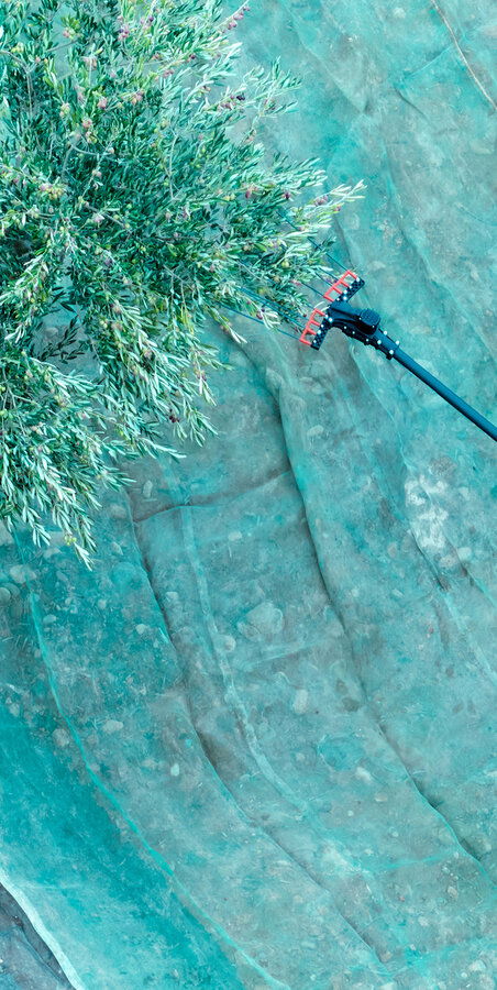 VAREJADOR DE AZEITONAS | BELLOTA | VA1PRO | 3 VELOCIDADES