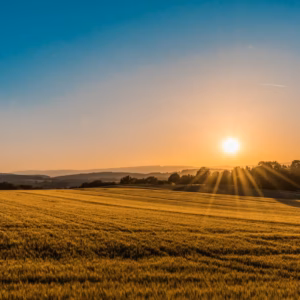 Agricultura