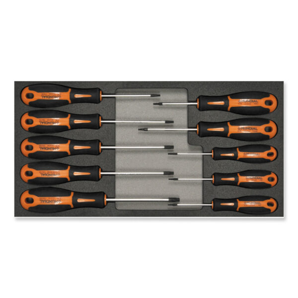 MÓDULO 10 CHAVES DE FENDAS TORX | MUNDIAL