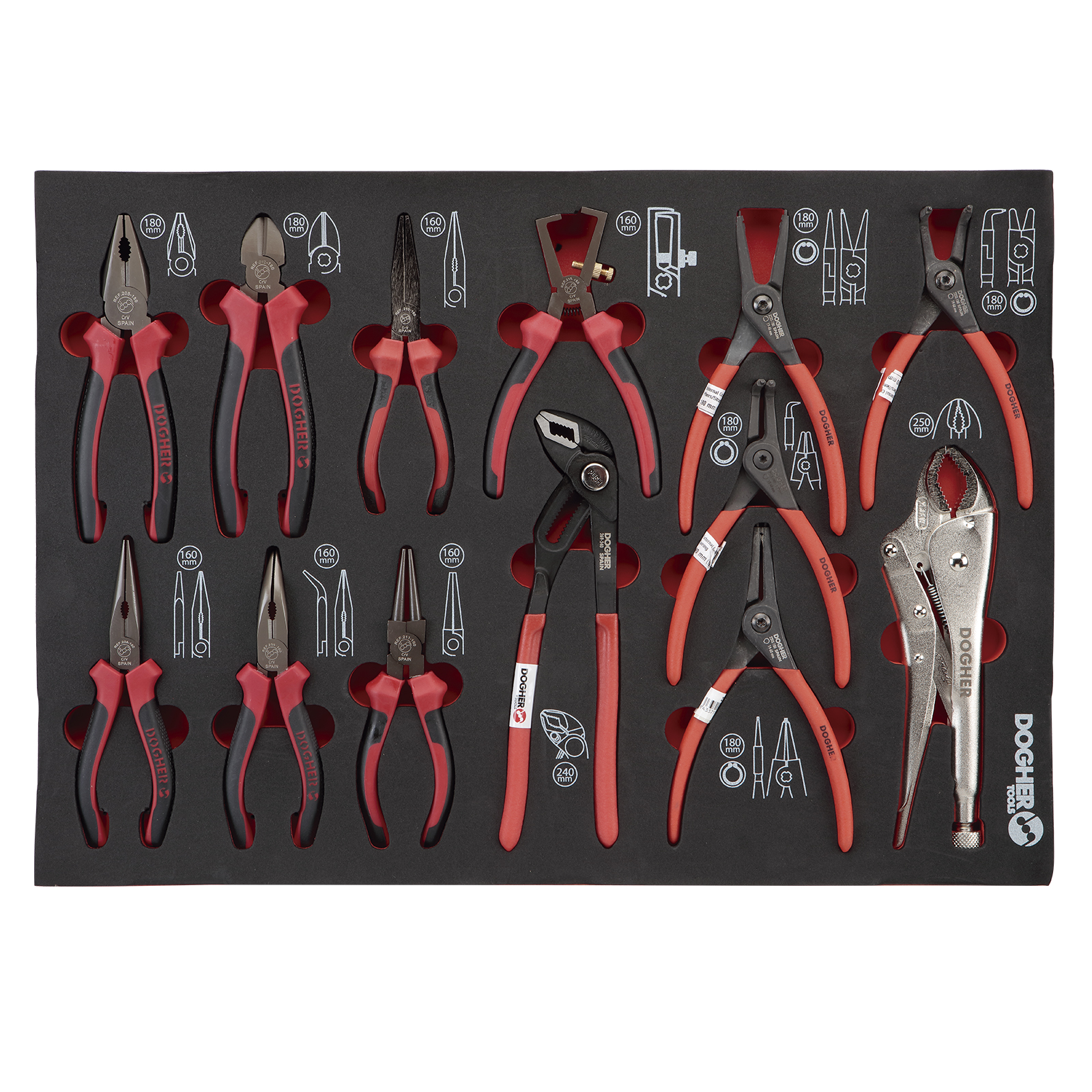 BAND.ESPUMA ALIC 200-284 13 PCS ENTERA | DOGHER - Image 1