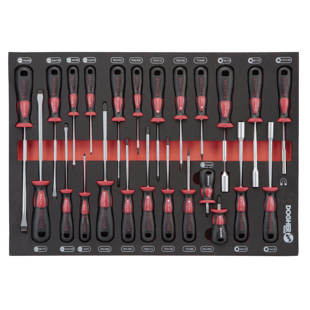 BAN.ESP. CHAVEPAR PL-TORXSEGPZ 24 PCS ENTERA | DOGHER